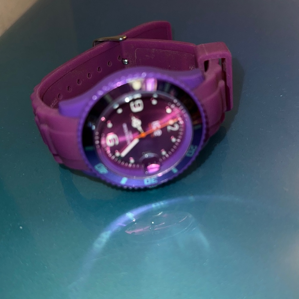 ICE WATCH